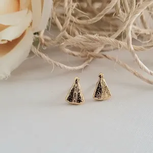 brinco ouro nossa senhora