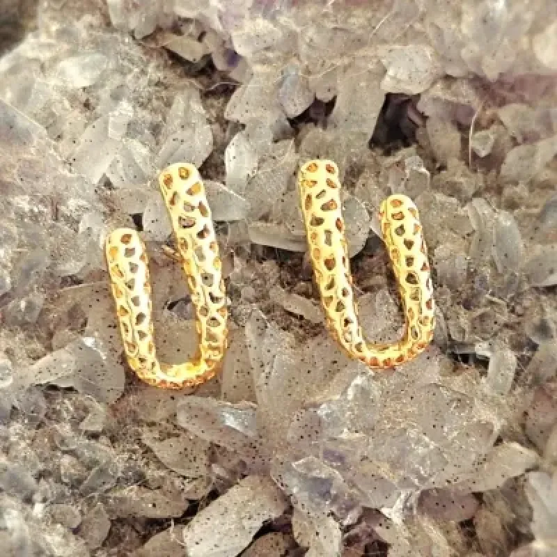 brinco ouro curvo forma U com vários vazados