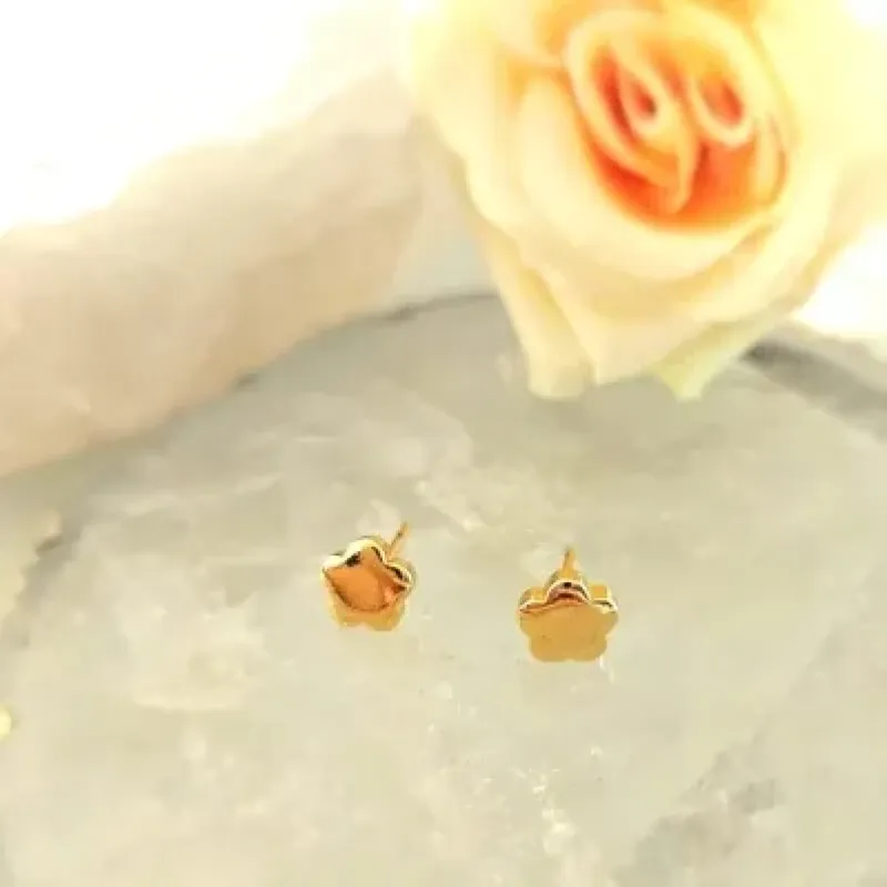 brinco ouro flor gordinha lisa