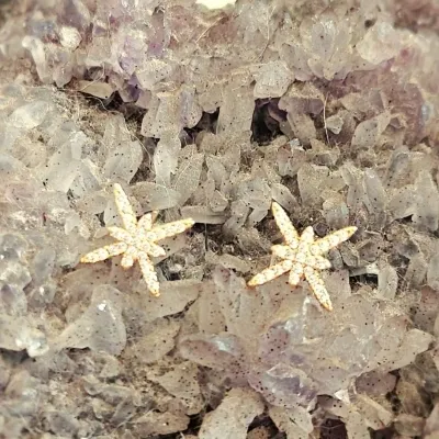brinco ouro estrela Hstern