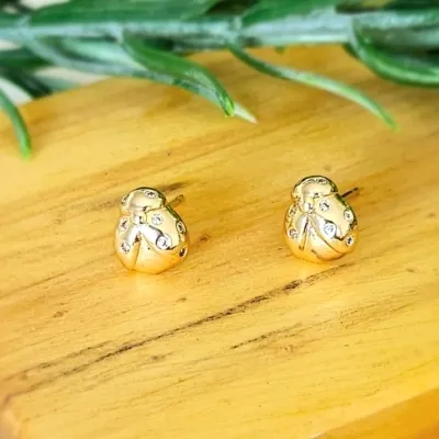 brinco ouro joaninha com tarraxa sutiã