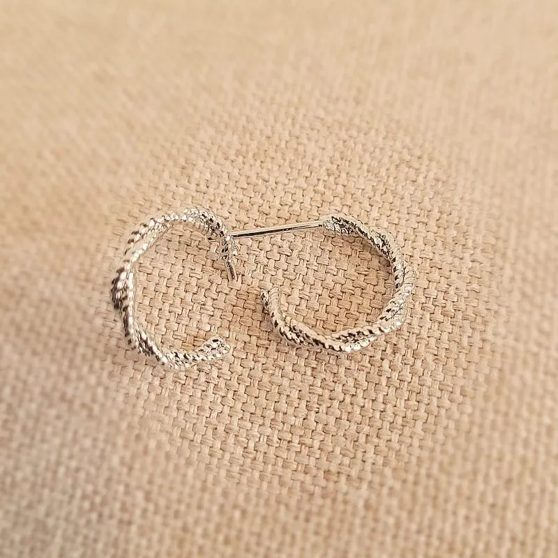 brinco rodio argola 2 aros torcidos