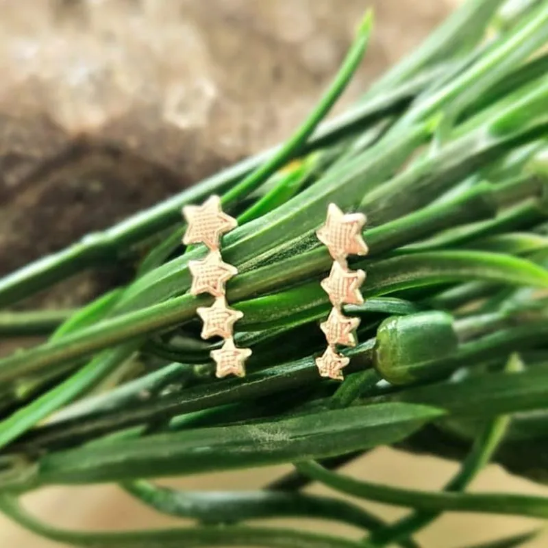 brinco rodio com 4 estrelas trabalhadas