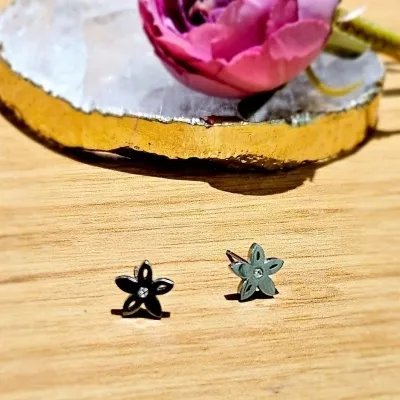 brinco aço flor 5 petalas pontudas